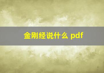 金刚经说什么 pdf